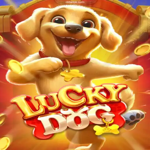 Discover the Thrills of LuckyDog: A Premium Online Casino Experience